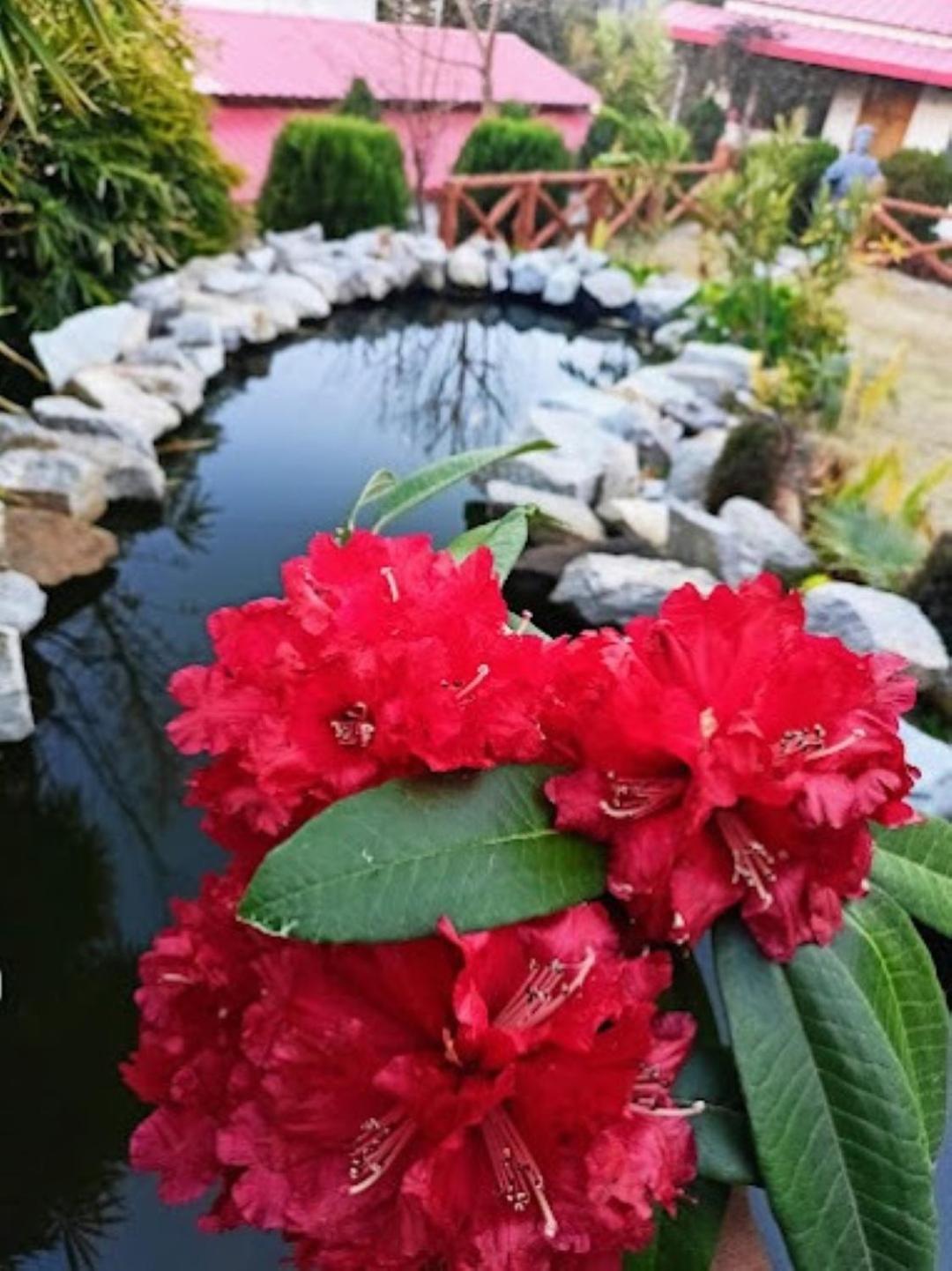 The Village Retreat Resort , Guptkashi Gupta Kāshi 외부 사진